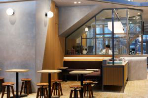 Airplants West Coast