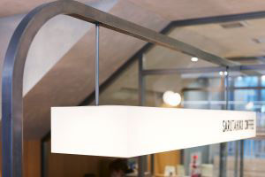 Airplants West Coast