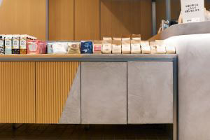 Airplants West Coast