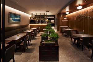 Airplants West Coast