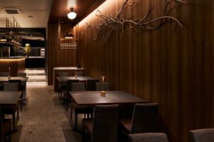 Airplants West Coast