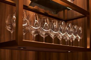 Airplants West Coast