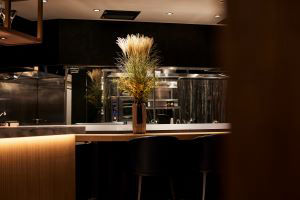 Airplants West Coast