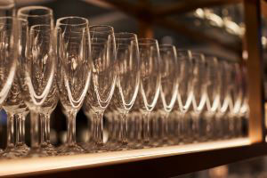 Airplants West Coast