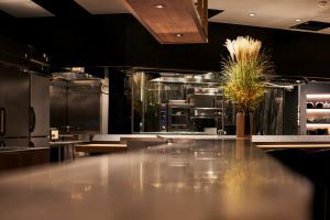 Airplants West Coast