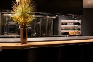 Airplants West Coast