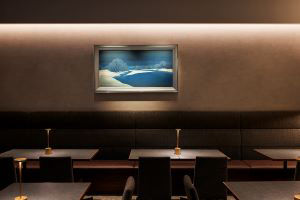 Airplants West Coast