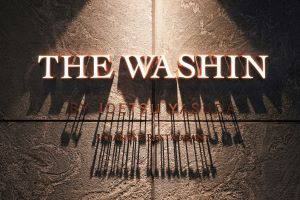 Airplants West Coast