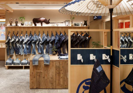 Airplants West Coast