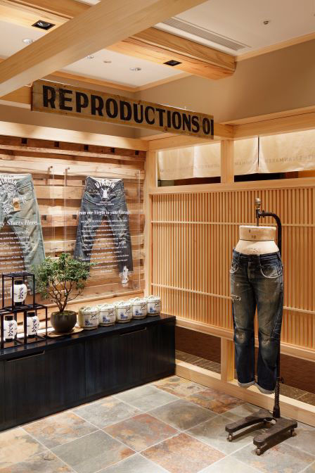 Airplants West Coast