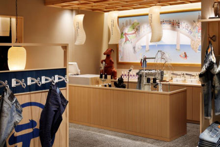 Airplants West Coast