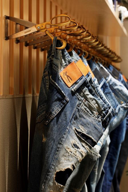 Airplants West Coast