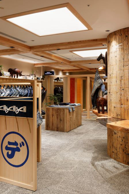 Airplants West Coast