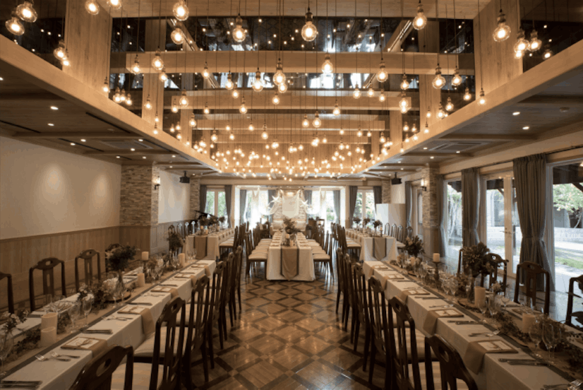 Airplants West Coast